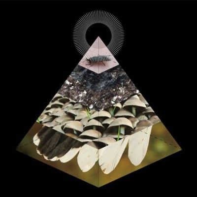 Apophenia (CD / Album)