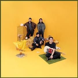 Together Pangea - Bulls And Roosters (CD)