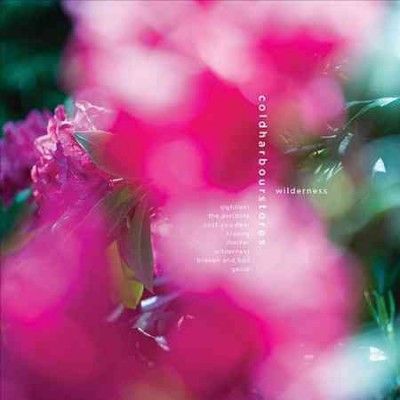 Coldharbourstores - Wilderness (CD)