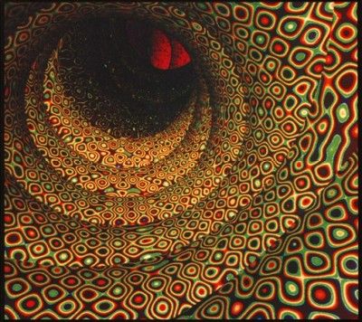 Magic Seed (CD / Album)