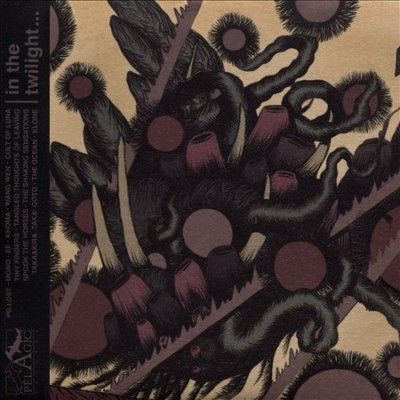 In the Twilight, These Rocks Have Teeth (CD / Album)