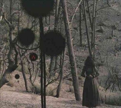 Isis - Not In Rivers But In Drops (CD)