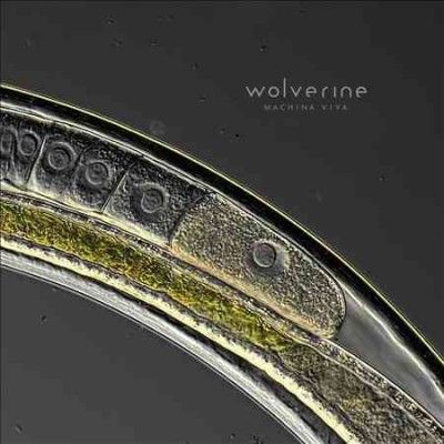 Wolverine - Machina Viva (CD)