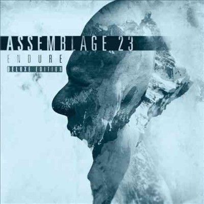 Assemblage 23 - Endure (CD)