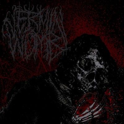Vermin Womb - Decline (CD)