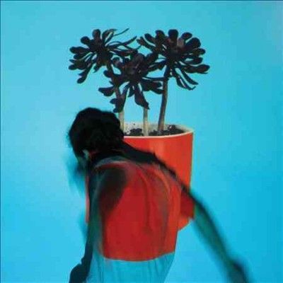 Local Natives - Sunlit Youth (CD)
