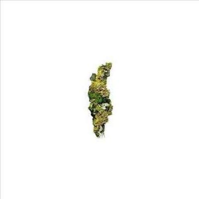 Various - Plangent Compilation Vol 1 (CD)