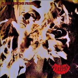 Flesh Throne Press (CD / Album)