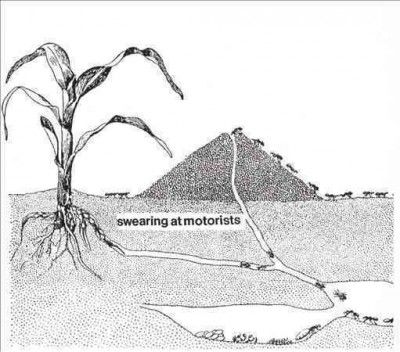 Swearing at Motorists (CD / Album)