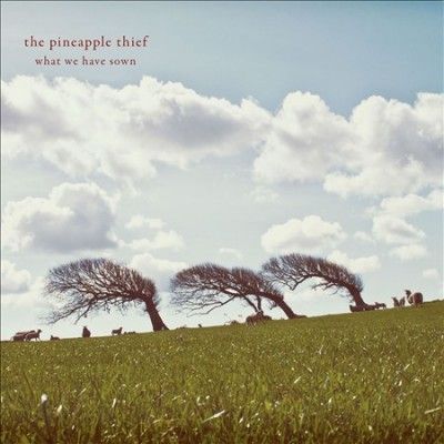 Pineapple Thief - What We Have Sown (CD)