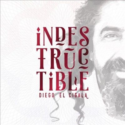 Diego El Cigala - Indestructible (CD)