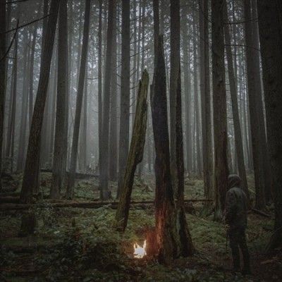 Baptists - Beacon Of Faith (Vinyl)