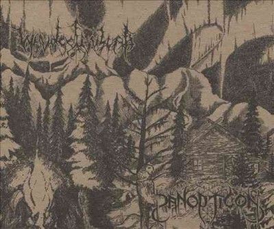 Panopticon - Panopticon/waldgefluster (CD)