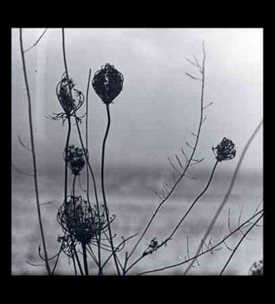 Recondite - Placid (Vinyl)