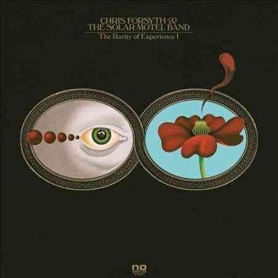Chris &amp; The Forsyth - Rarity Of Experience (CD)