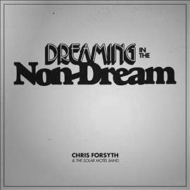 Chris &amp; The Forsyth - Dreaming In The Non Dream (CD)