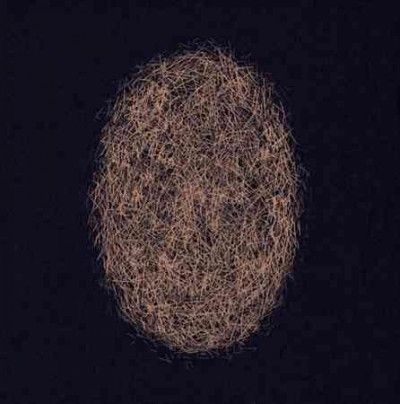 Eli Keszler - Last Signs Of Speed (Vinyl)