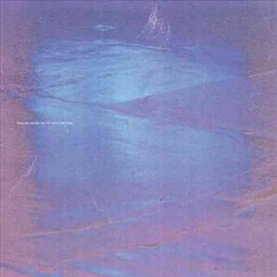 Vanessa Amara - You're Welcome Here (Vinyl)