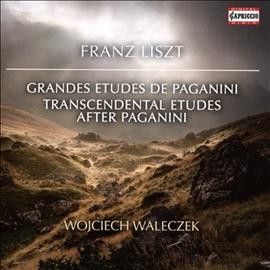Wojciech Waleczek - Liszt: Grandes Etudes De Paganini/6 Et (CD)