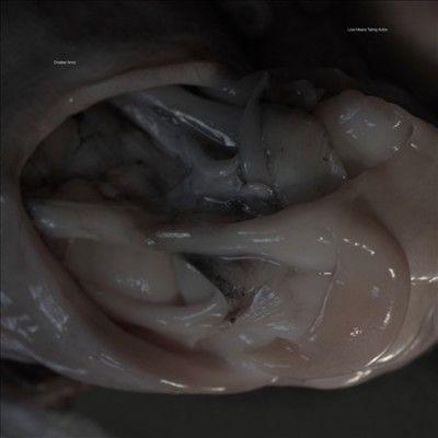 Croatian Amor - Love Means Taking Action (Vinyl)