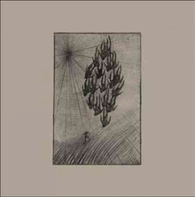 Aine O'dwyer - Locusts (Vinyl)