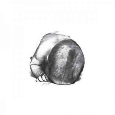 Liquid Idiot - Liquid Idiot/idiot Orchestra (Vinyl)