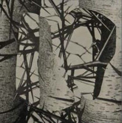 Chroma (Vinyl / 12" Album)