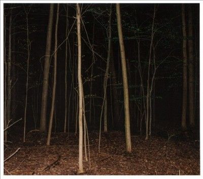 Express Rising - Fixed Rope Ii (CD)