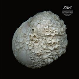 Jfdr - Brazil (Vinyl)