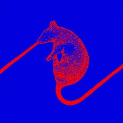 Dwarfs Of East Agouz - Rats Don't Eat Synthesizers (Vinyl)