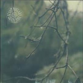 Benoit Pioulard - Lignin Poise (Vinyl)