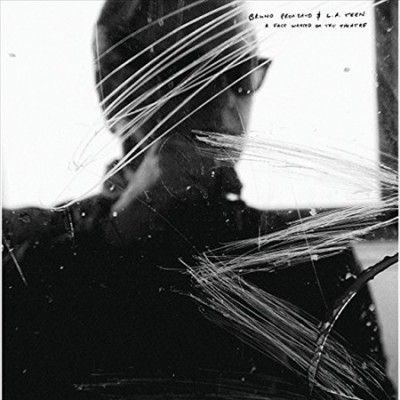 Bruno Pronsato - Face Wasted On The Theatre (Vinyl)