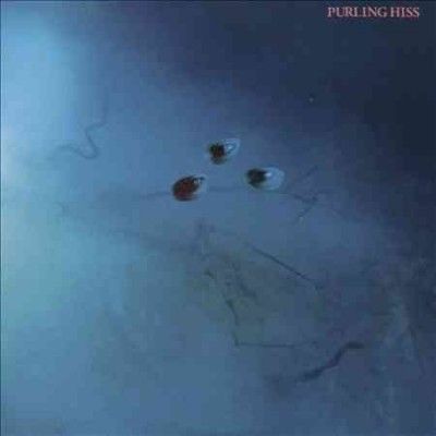 Purling Hiss - High Bias (CD)