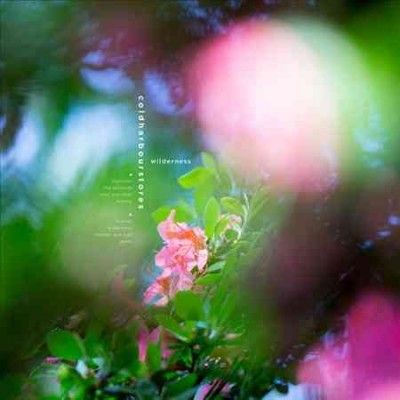 Coldharbourstores - Wilderness (Vinyl)