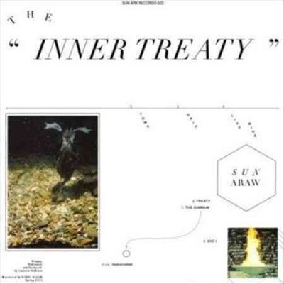 Sun Araw - Inner Treaty (CD)