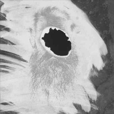 Mats Gustafsson - Piano Mating (Vinyl)