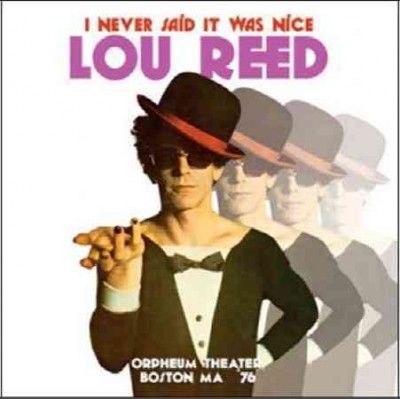 I Never Said It Was Nice (Vinyl / 12" Album)