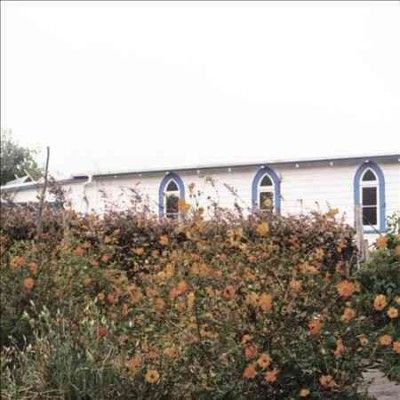 Kane Strang - Blue Cheese (CD)