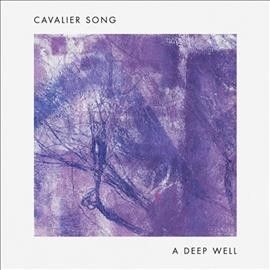 A Deep Well (Vinyl / 12" Album)