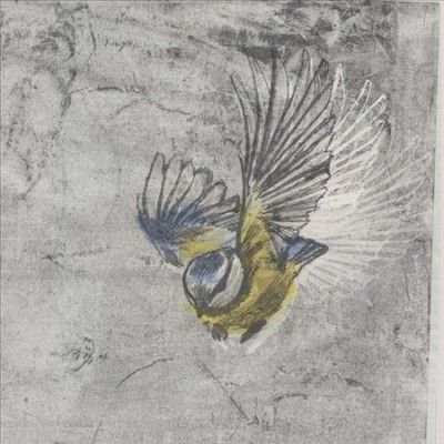 Mesange - Heliotrope (Vinyl)