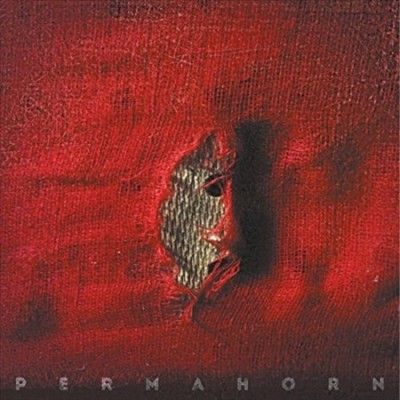 Permahorn - My Blood Carries My Dreams Away (Vinyl)