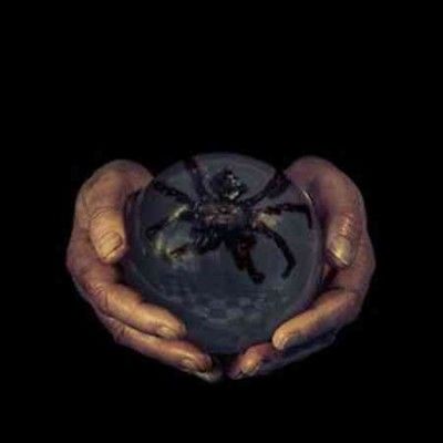 Buck Gooter - Spider's Eyes (Vinyl)