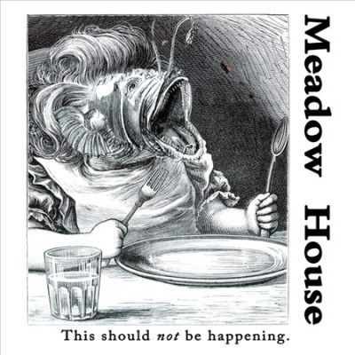 Meadow House - This Should Not Be Happening (Vinyl)