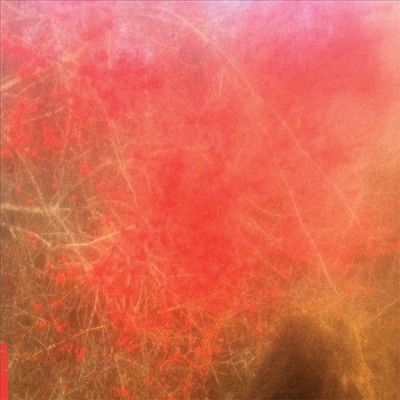 Foom &amp; Foam - Foom &amp; Foam (Vinyl)