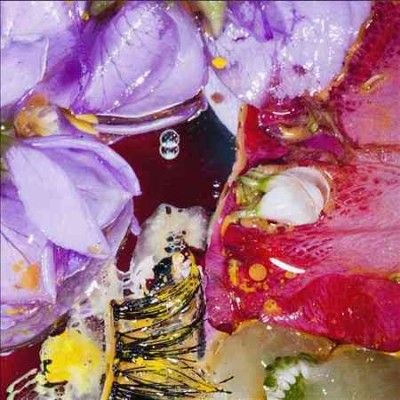 Virginia Wing - Forward Constant Motion (Vinyl)
