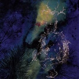 Bardo Pond - Under The Pines (Vinyl)
