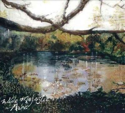 Wide Majestic Aire (CD / Album)
