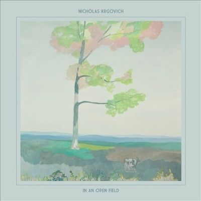 In an Open Field (CD / Album)