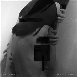 Public Memory - Veil Of Counsel (Vinyl)