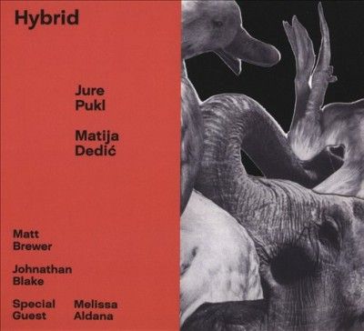 Hybrid (CD / Album)